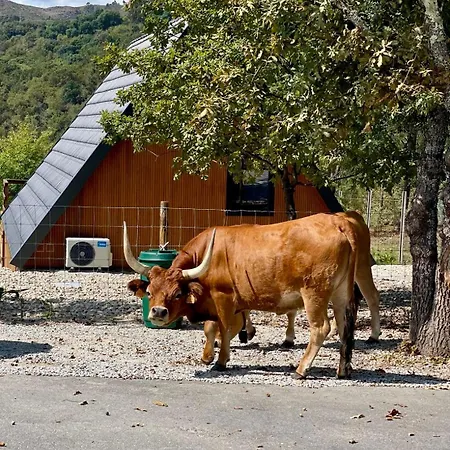 Luna In Rio Escapadinha No Geres, A-frame Aconchegante Vista Rio E Montanha Aquecimento, Total Privacidade