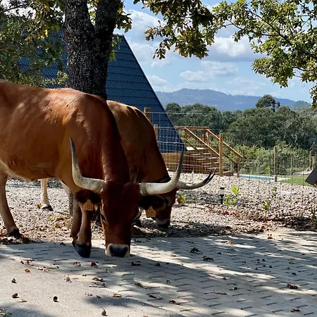 Luna In Rio Escapadinha No Geres, A-frame Aconchegante Vista Rio E Montanha Aquecimento, Total Privacidade *