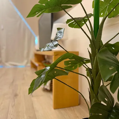 Luna In Rio Escapadinha No Geres, A-frame Aconchegante Vista Rio E Montanha Aquecimento, Total Privacidade *