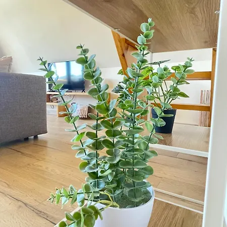 Horská chata Luna In Rio Escapadinha No Geres, A-frame Aconchegante Vista Rio E Montanha Aquecimento, Total Privacidade *