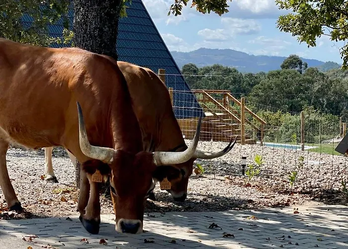 Luna In Rio Escapadinha No Geres, A-frame Aconchegante Vista Rio E Montanha Aquecimento, Total Privacidade *