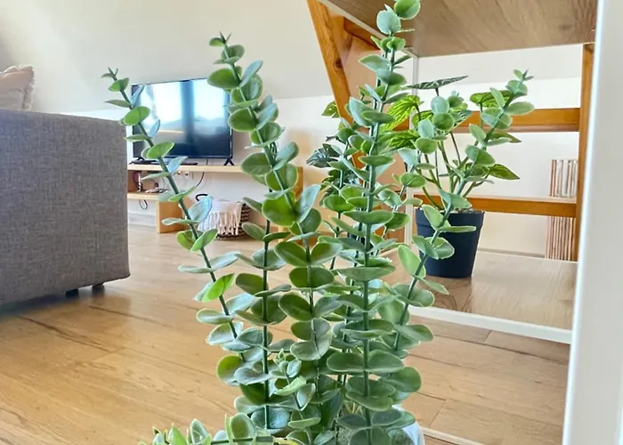 Dağ evi Luna In Rio Escapadinha No Geres, A-frame Aconchegante Vista Rio E Montanha Aquecimento, Total Privacidade *